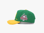 Bottega Desires Hat Yellow/Green