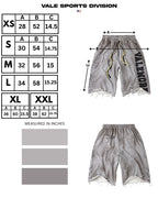 Vale Forever Valemore 3/4 Shorts Grey